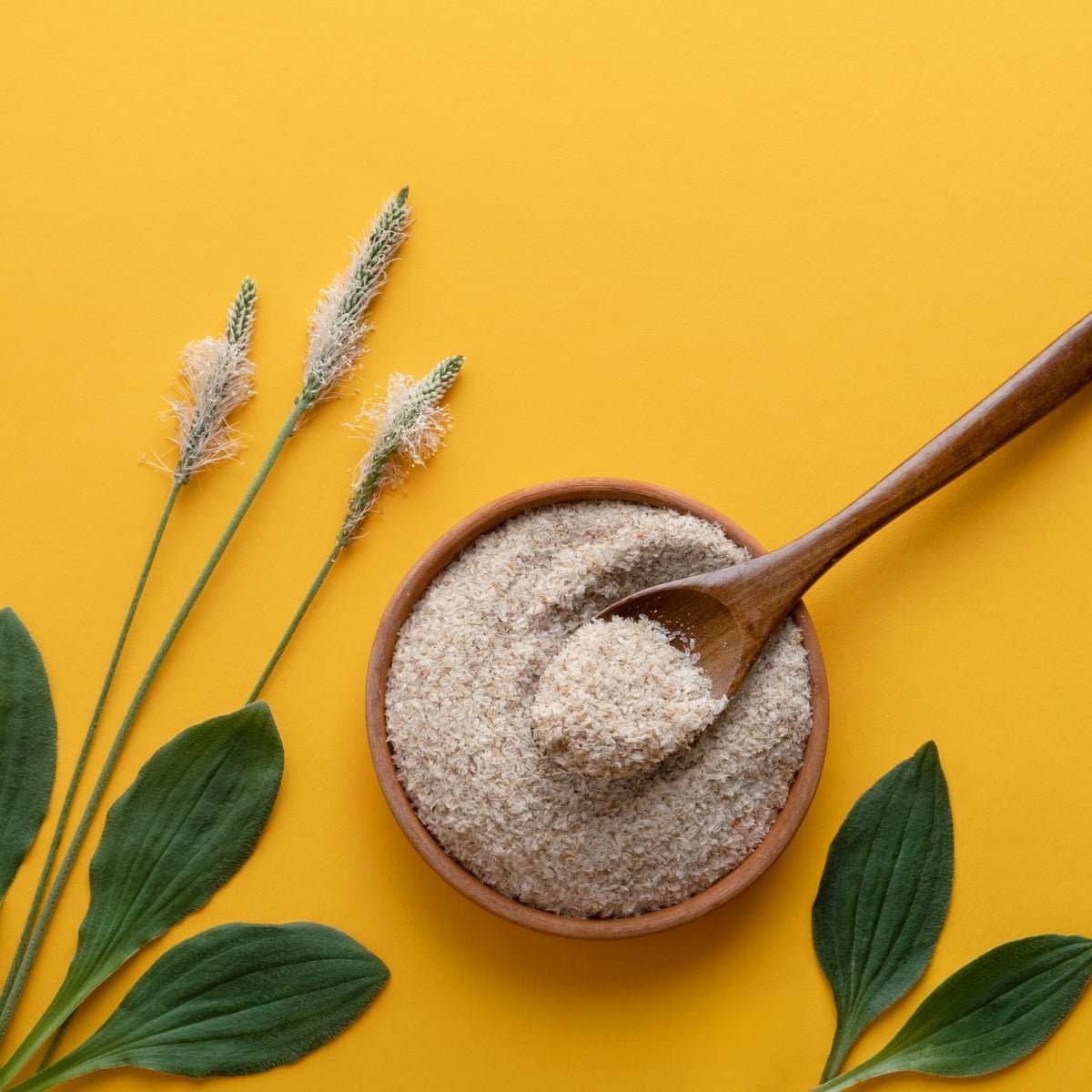 ⁠⁠Psyllium Husk