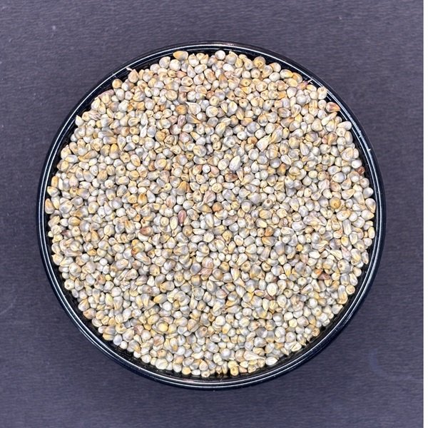 Bajra