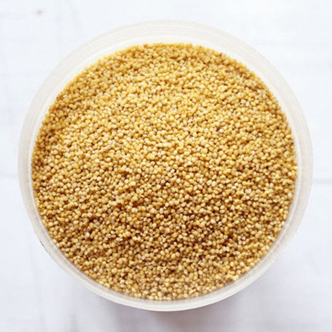 Foxtail Millet