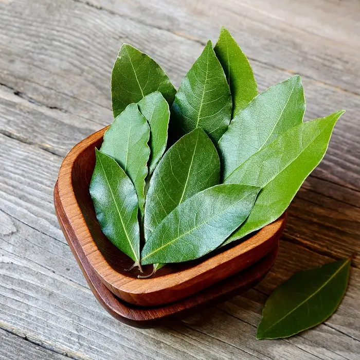Bay Leaves