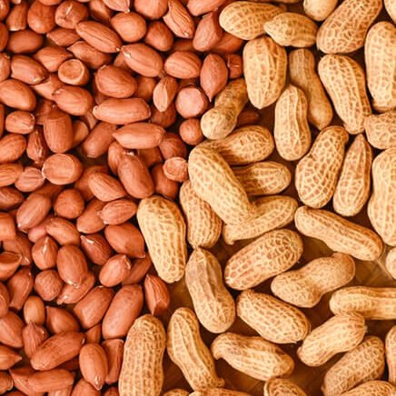 RAW-Peanut-Bold-50-60-1