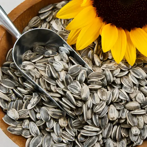 Sunflower seeds