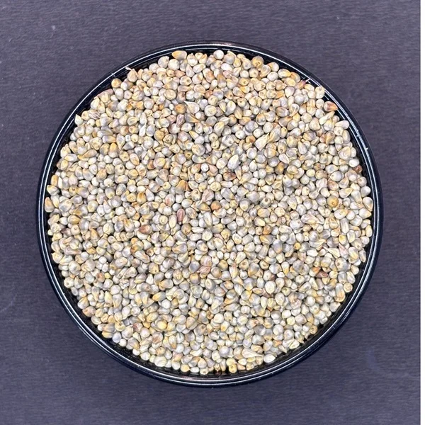 Bajra-image