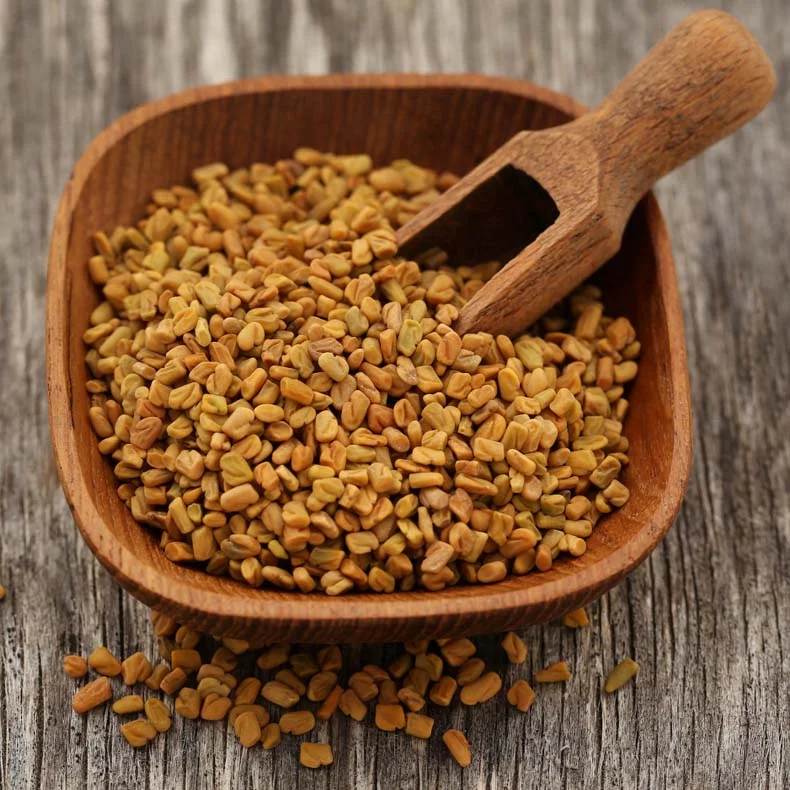 Fenugreek