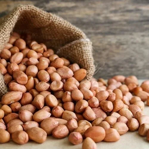 ⁠⁠Groundnut seeds